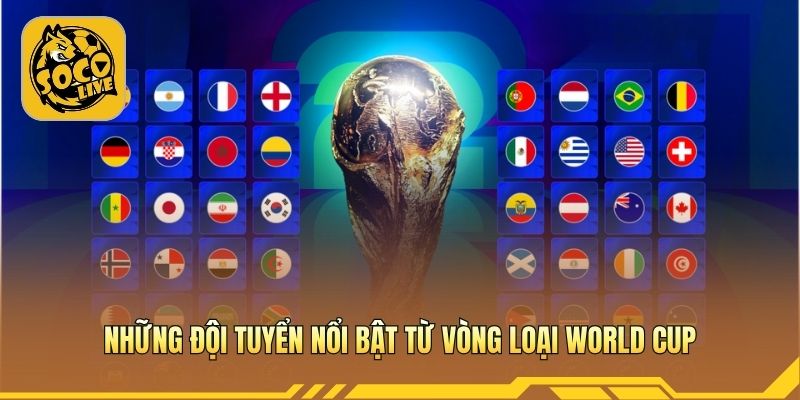 Kết quả vòng loại World Cup phản ánh sức mạnh các đội 
